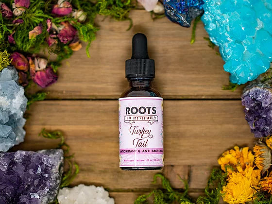TURKEY TAIL MEDICINAL MUSHROOM TINCTURE-0
