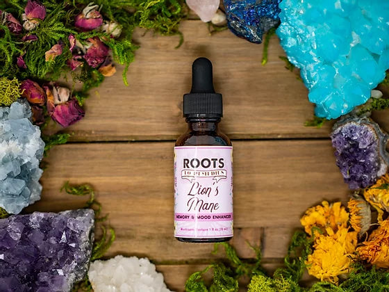LION’S MANE MEDICINAL MUSHROOM TINCTURE