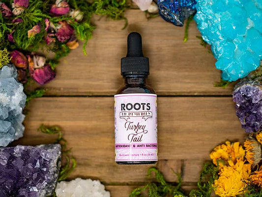 TURKEY TAIL MEDICINAL MUSHROOM TINCTURE-0